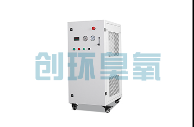 定兴工厂化养鲈必看：2026年臭氧发生器替代传统消毒的最新方案