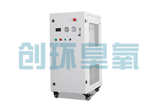 定兴石斑鱼养殖水质调控完整指南：臭氧发生器配置与操作步骤