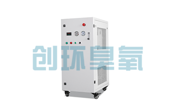 定兴比传统换水更高效？臭氧发生器在石斑鱼养殖中的水质净化原理解析